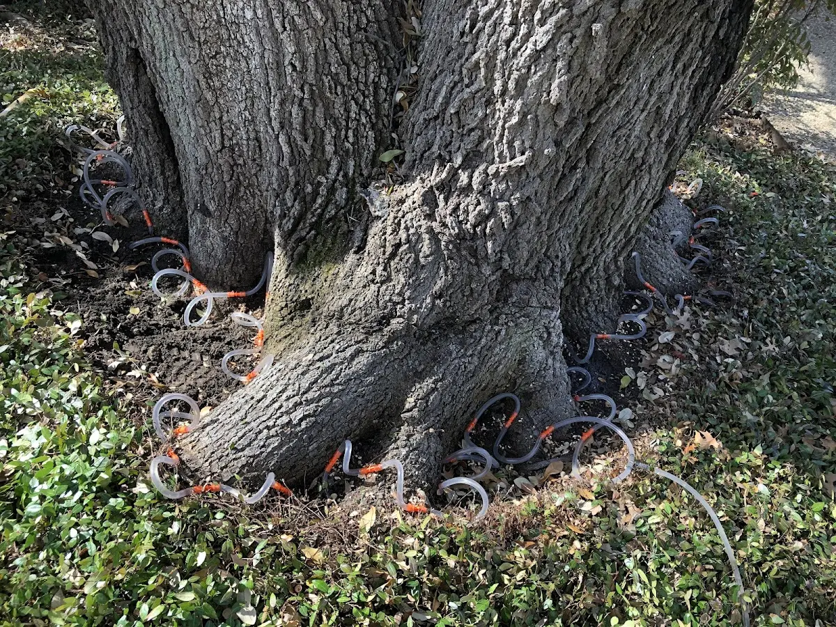 Detailed Shrub and Hedge Trimming job site in Flora