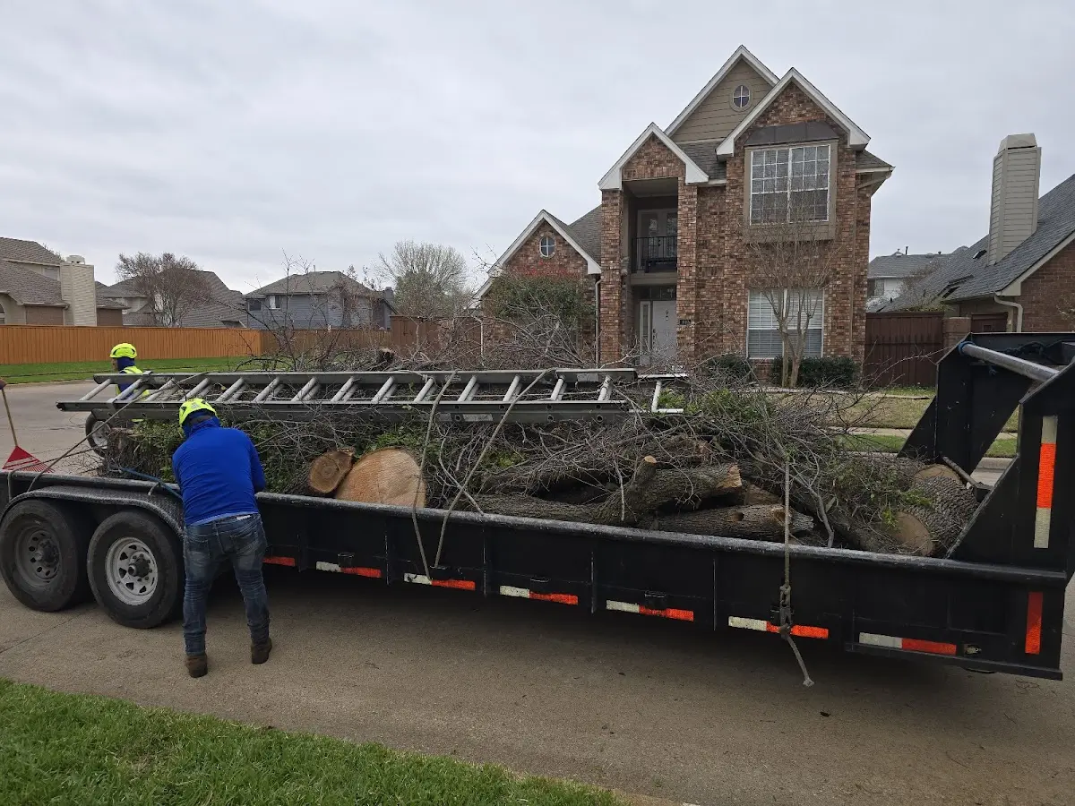 Expert Crown Reduction with proper safety equipment in Flora